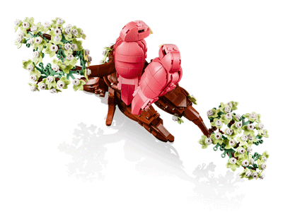 LEGO set 21365 Love Birds