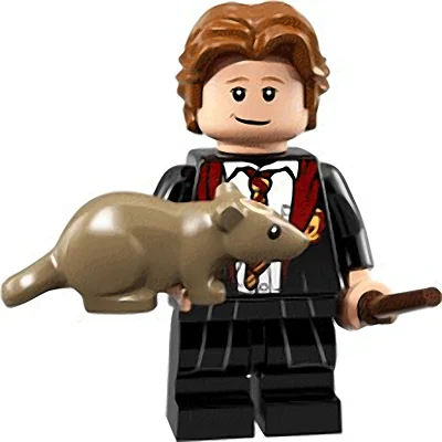 Ron Weasley in School Robes