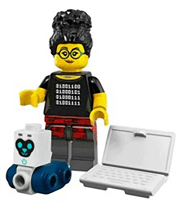 Programmer