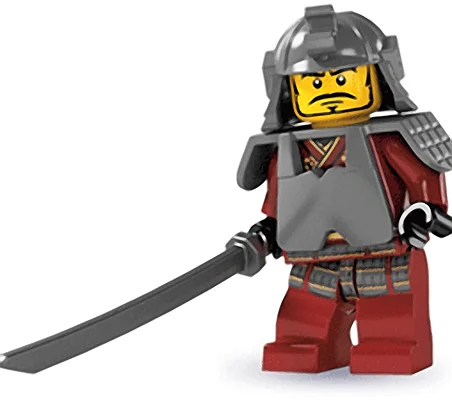 Samurai Warrior