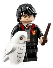 Harry Potter in School Robes