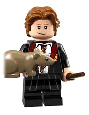 Ron Weasley in School Robes
