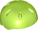 46303