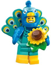 Peacock Costume