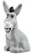donkey01
