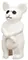 8243pb01