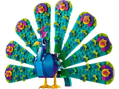 Exotic Peacock