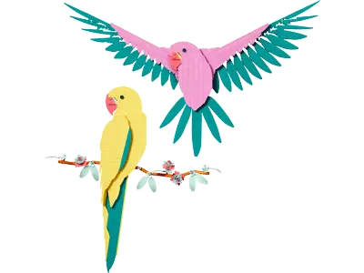 The Fauna Collection – Macaw Parrots