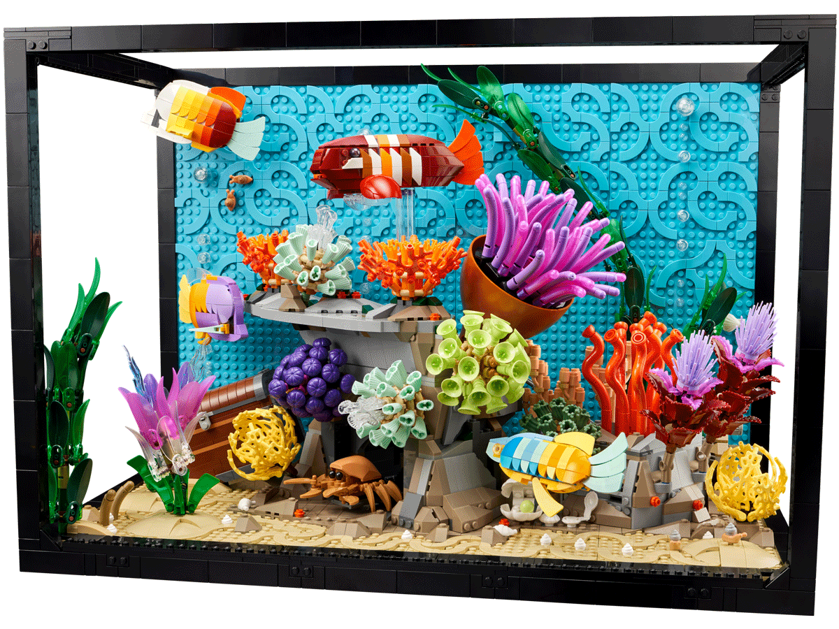 Tropical Aquarium
