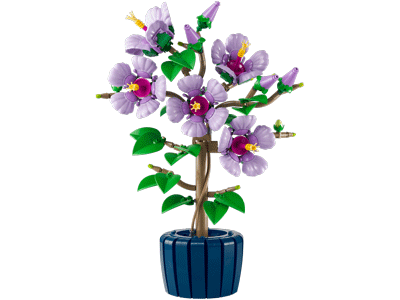 10372 Hibiscus