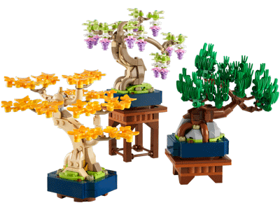10373 Mini Bonsai Trees
