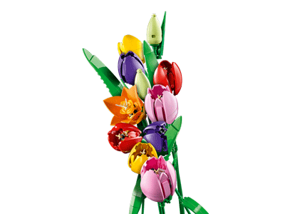 LEGO set 11501 Tulip Bouquet