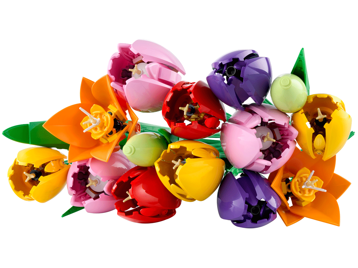 Tulip Bouquet