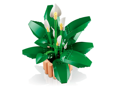 LEGO set 11504 Peace Lily