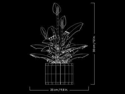 LEGO set 11504 Peace Lily Dimensions