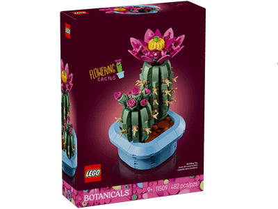 LEGO set 11509 Flowering Cactus Box Front
