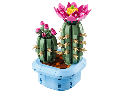 Flowering Cactus