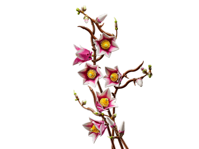 LEGO set 11510 Magnolia Branches