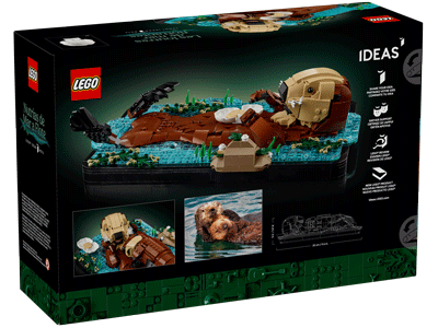 LEGO set 21366 Floating Sea Otters Box Back