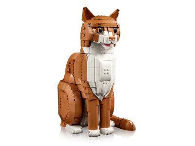 LEGO set 21376 Orange Cat