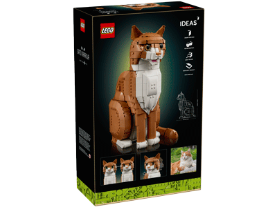 LEGO set 21376 Orange Cat Box Back