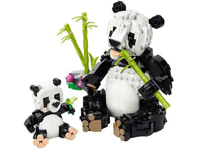 Wild Animals: Panda Family