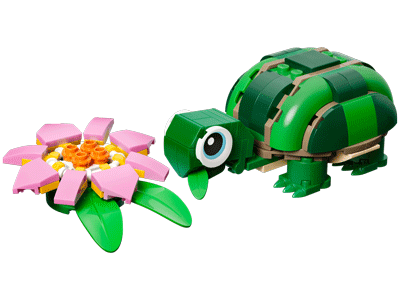 Turtle with a Water Lily Flower