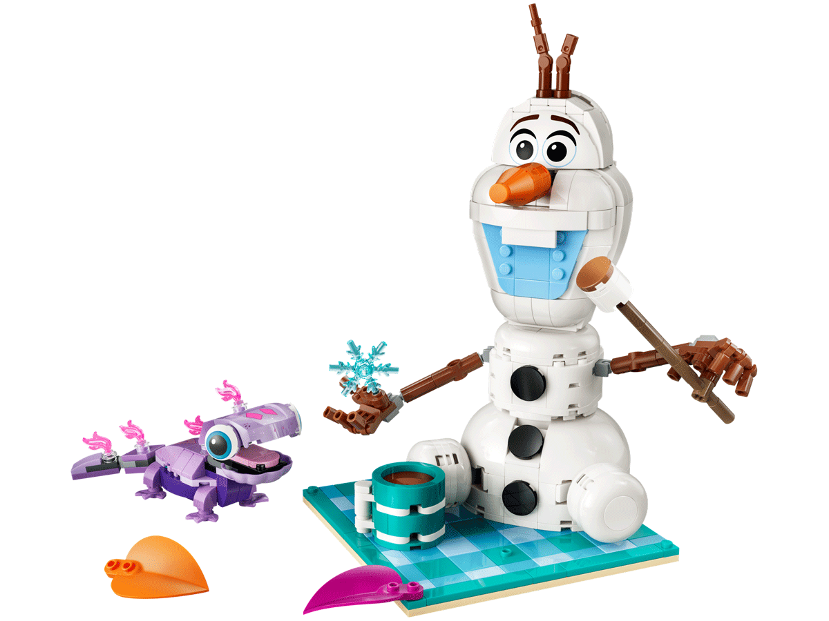 43287 Olaf and Bruni’s Picnic Fun