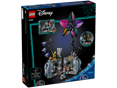 LEGO set 43288 Sally's Flowerpot Box Back