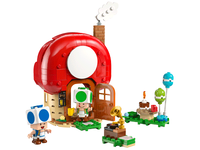 72041 Party at Toad’s House