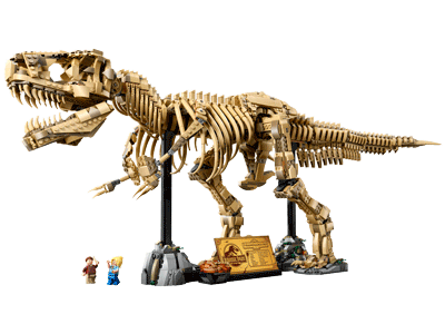 Dinosaur Fossils: Tyrannosaurus rex