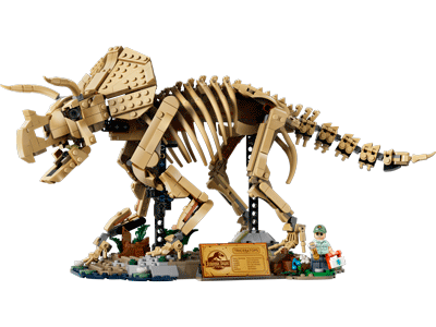 Dinosaur Fossils: Triceratops