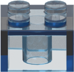 Transparent Flourescent Blue