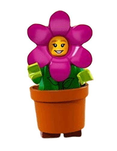 Flowerpot Girl